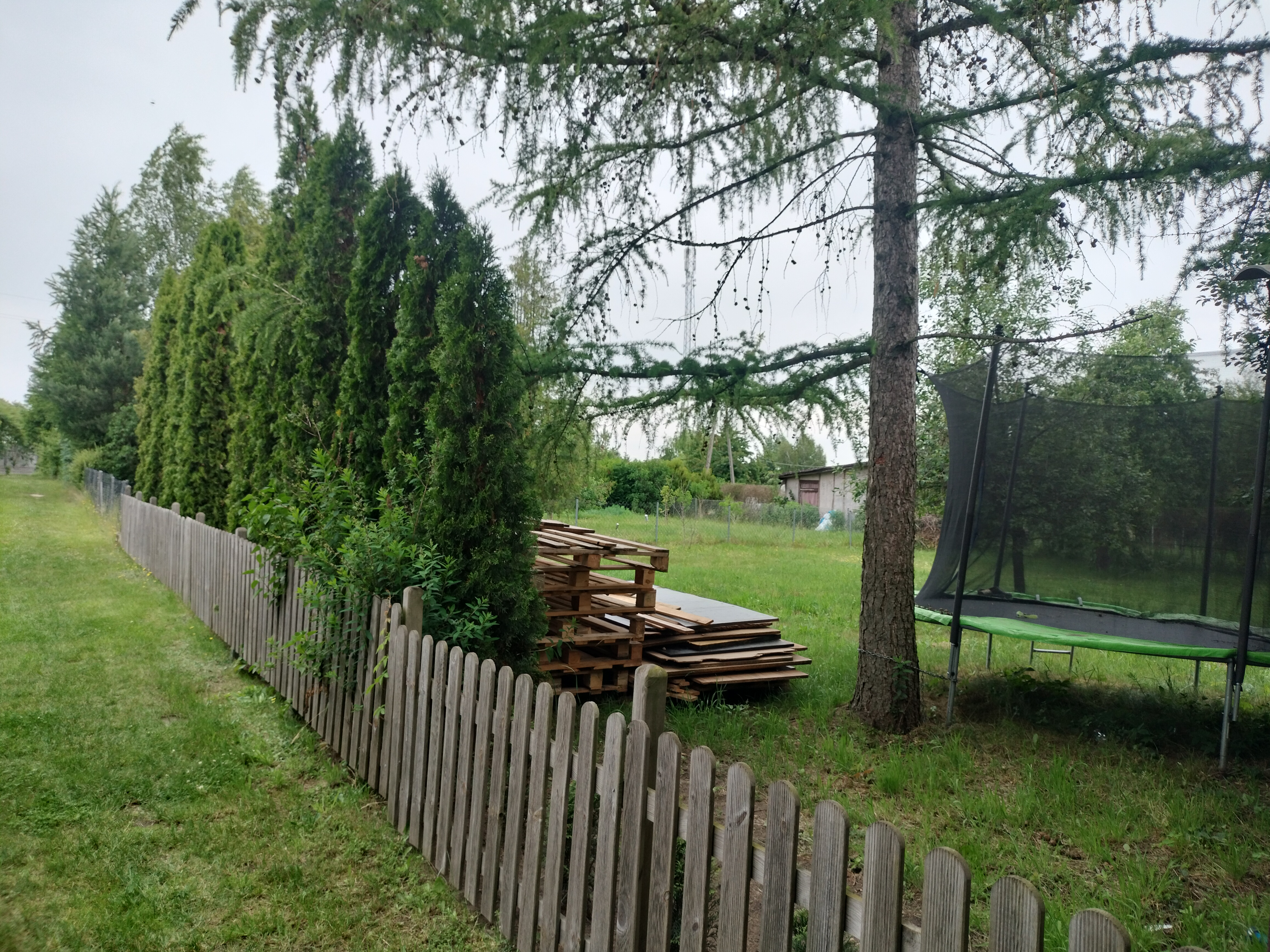 Działka ROD Słonecznik 
