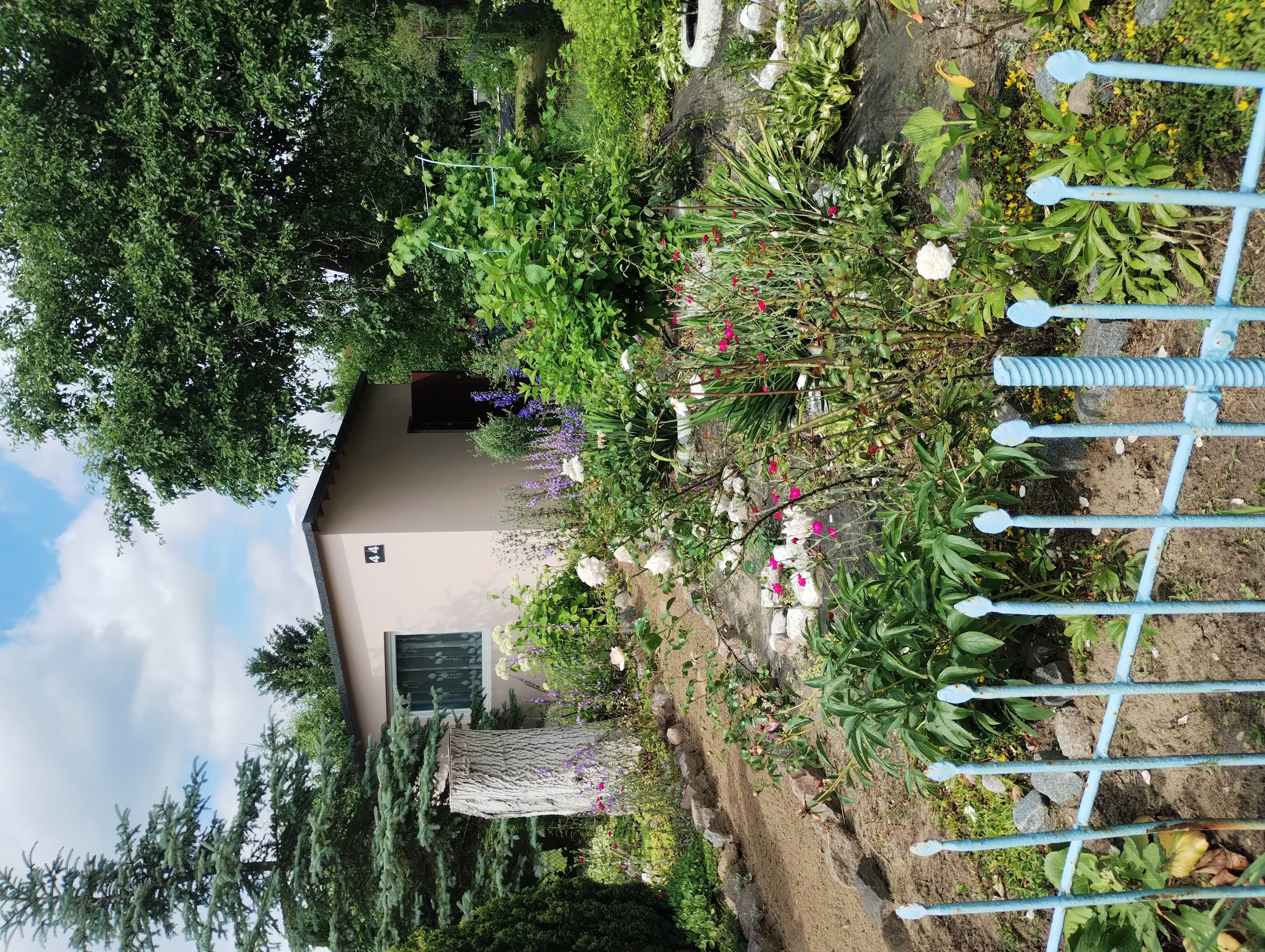 Sprzedam prawa do działki rekreacyjnej 