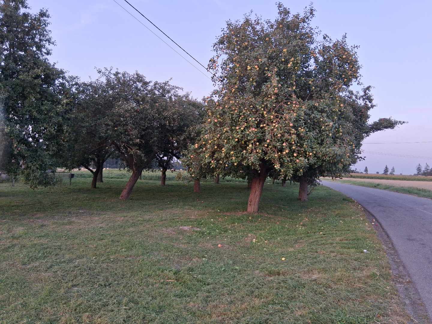 Siedlisko na sprzedaż okolice Włocławka