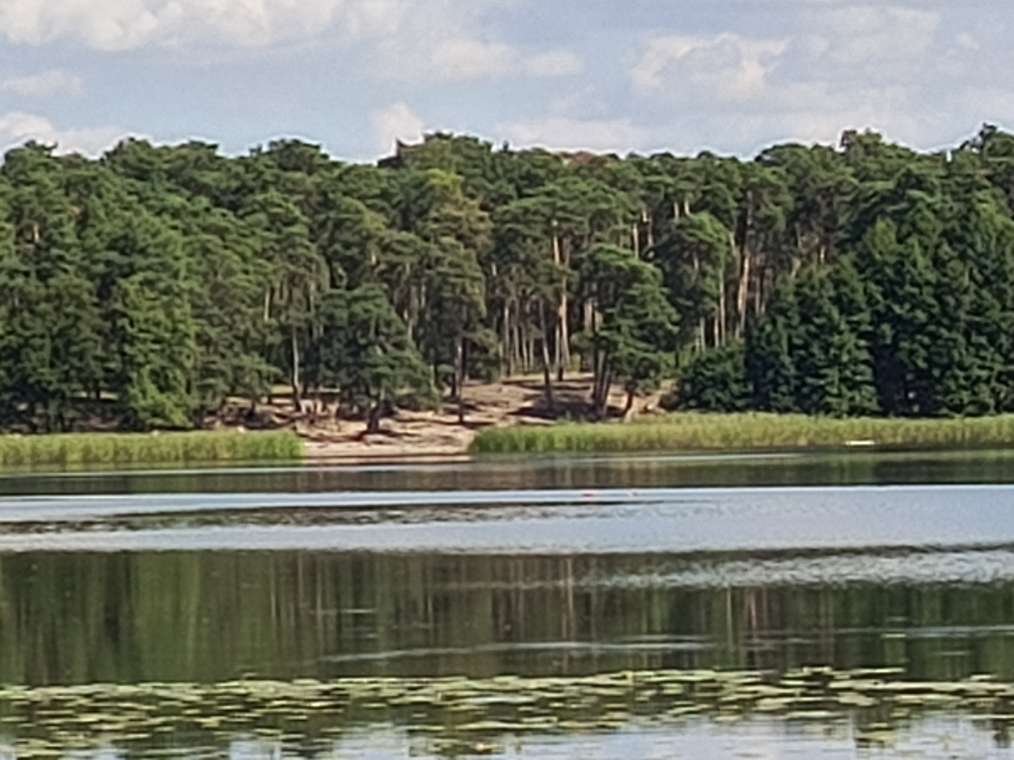 Posiadam do wynajęcia murowany garaż 