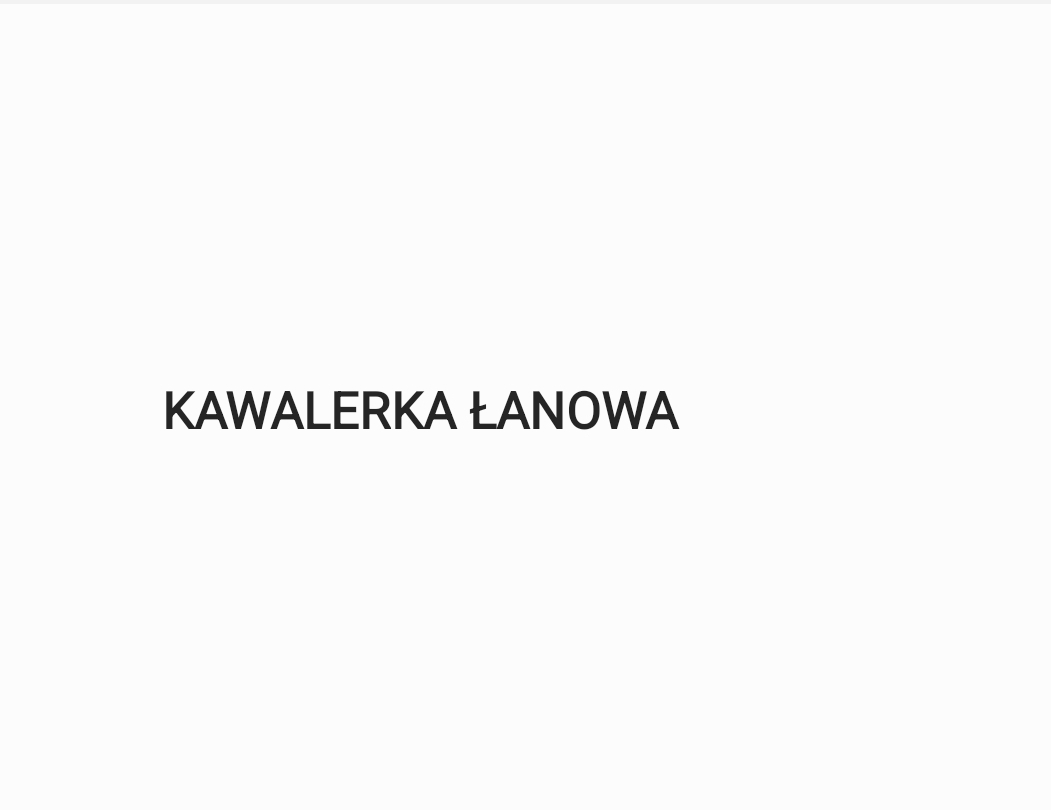 Kawalerka