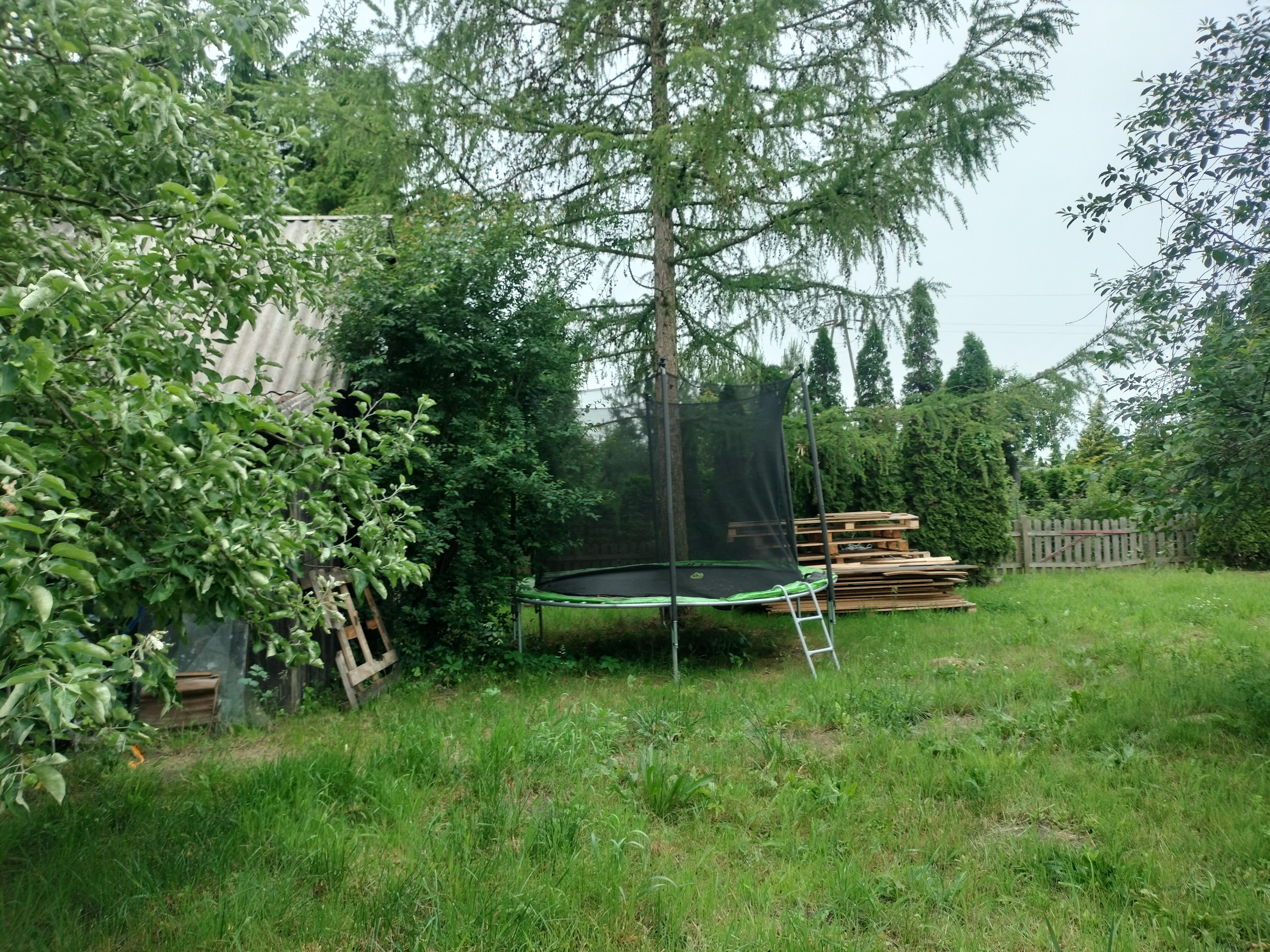Działka ROD Słonecznik 